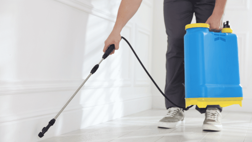 A homeowner using a pressurized sprayer to apply a liquid perimeter treatment along a home's baseboards to prevent Australian cockroaches.