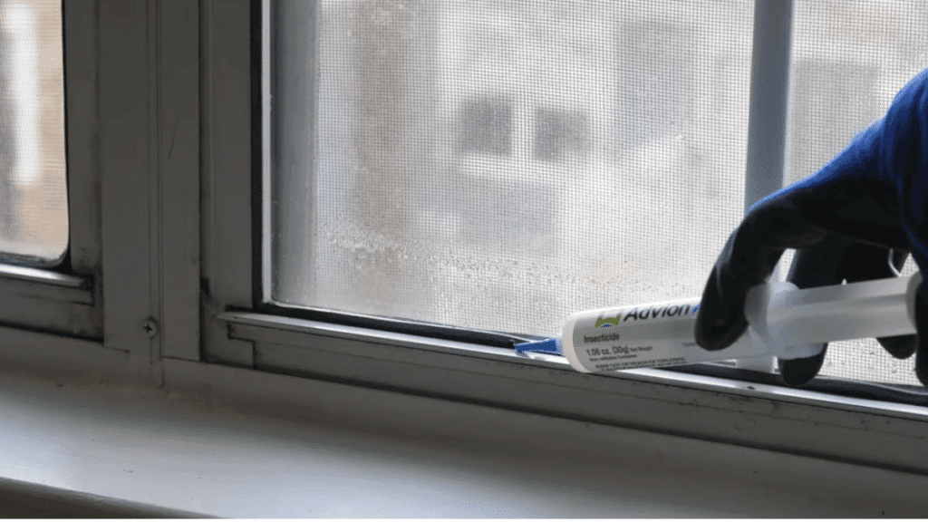 A homeowner applying gel bait to a window track to treat Odorous House Ants.