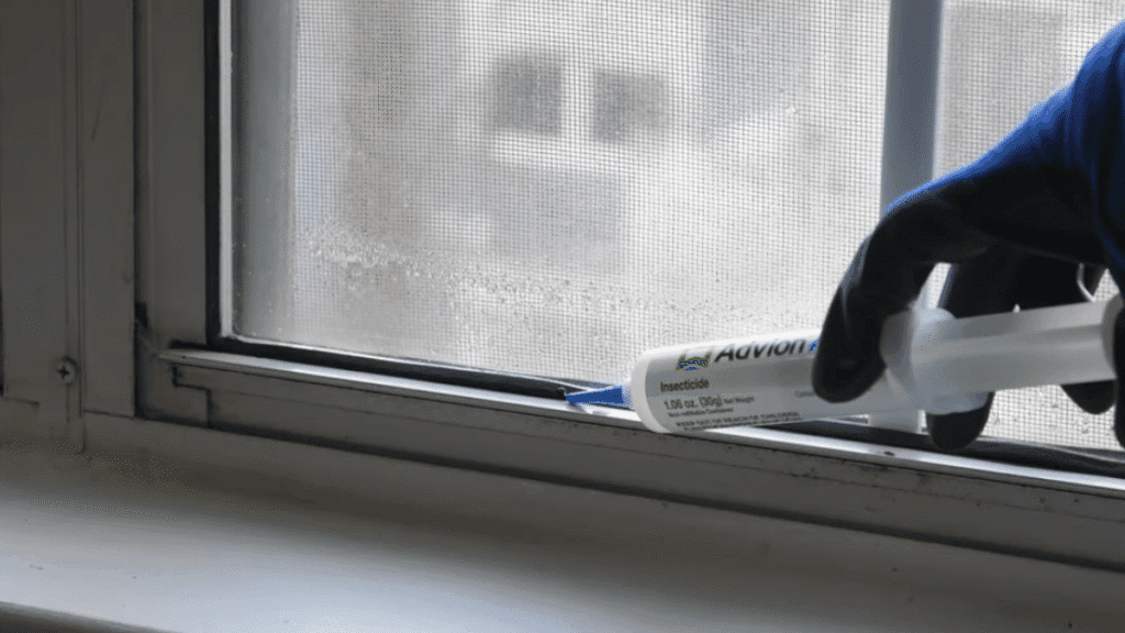 A homeowner applying a small bead of gel bait along an indoor window track to treat Pharaoh ants.