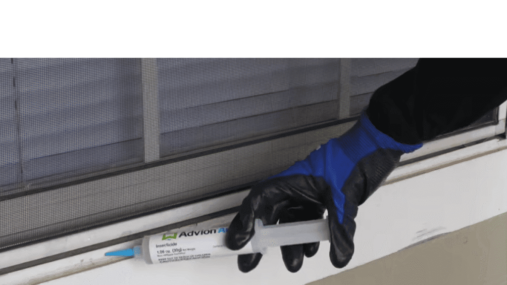 A homeowner applying gel bait to the exterior edge of a window sill to stop Pharaoh ants from entering.