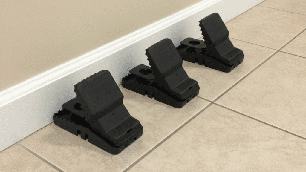 Three black plastic snap traps set in a row perpendicular to a white baseboard on a tiled floor to trap Roof Rats.