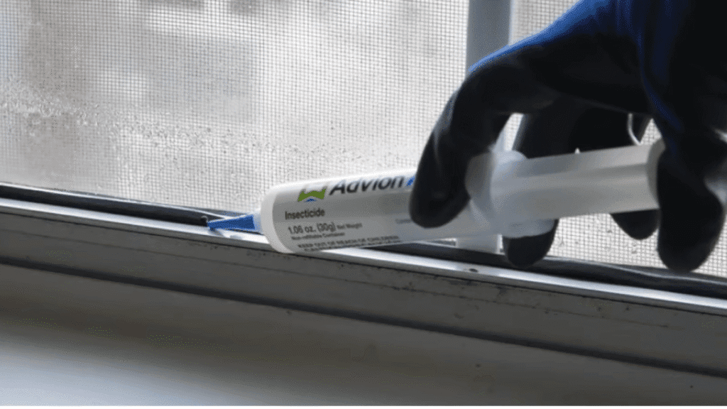 A person wearing a protective glove applying clear gel bait along a window track to treat a sugar ant infestation.