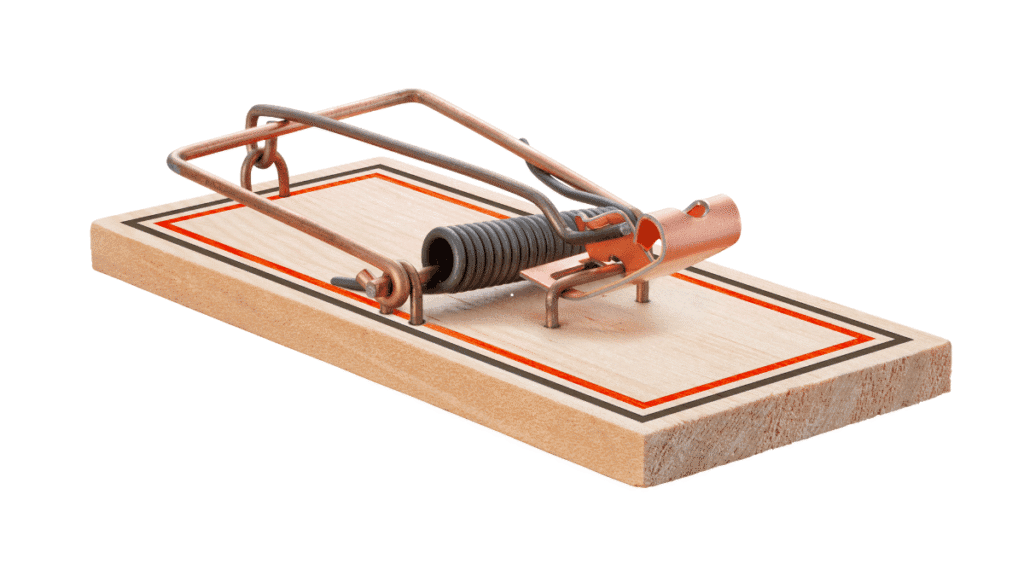 A classic wooden snap trap designed for catching house mice.