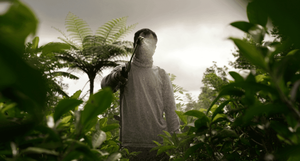 Point of view shot of a person using a sprayer to treat a pile of logs with pesticide.