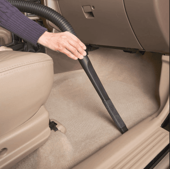 Using a vacuum crevice tool to clean flea hot spots along the edges of car carpet.