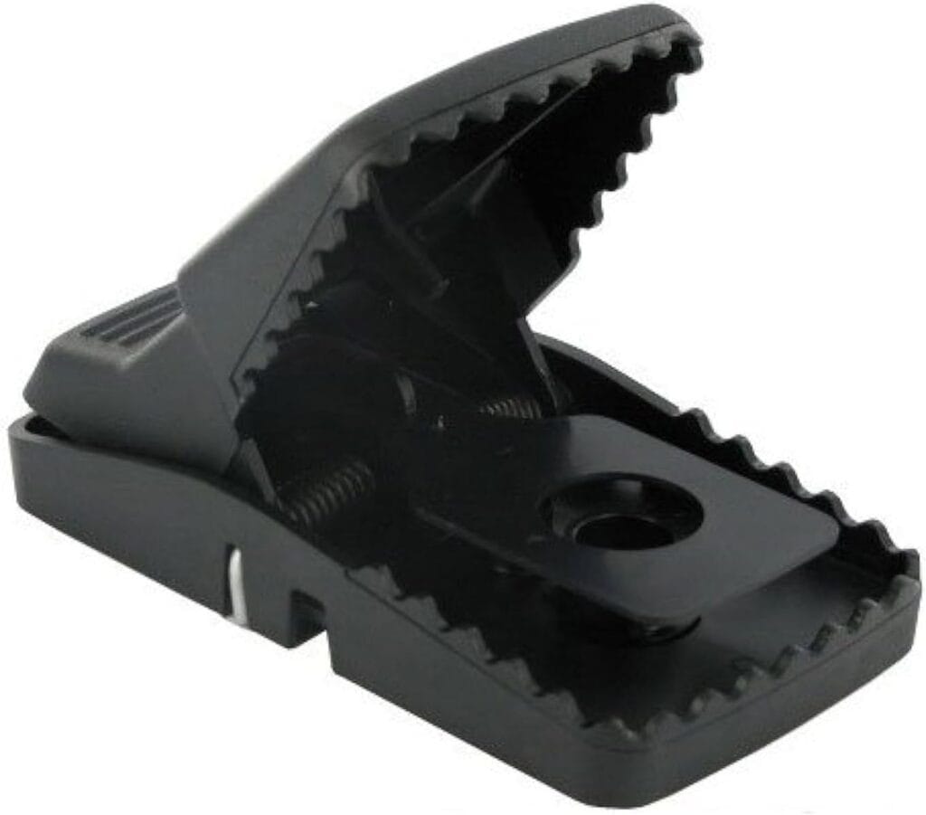 Bell Labs T‑Rex snap trap open and ready, professional‑grade rodent trap with strong spring and bait cup