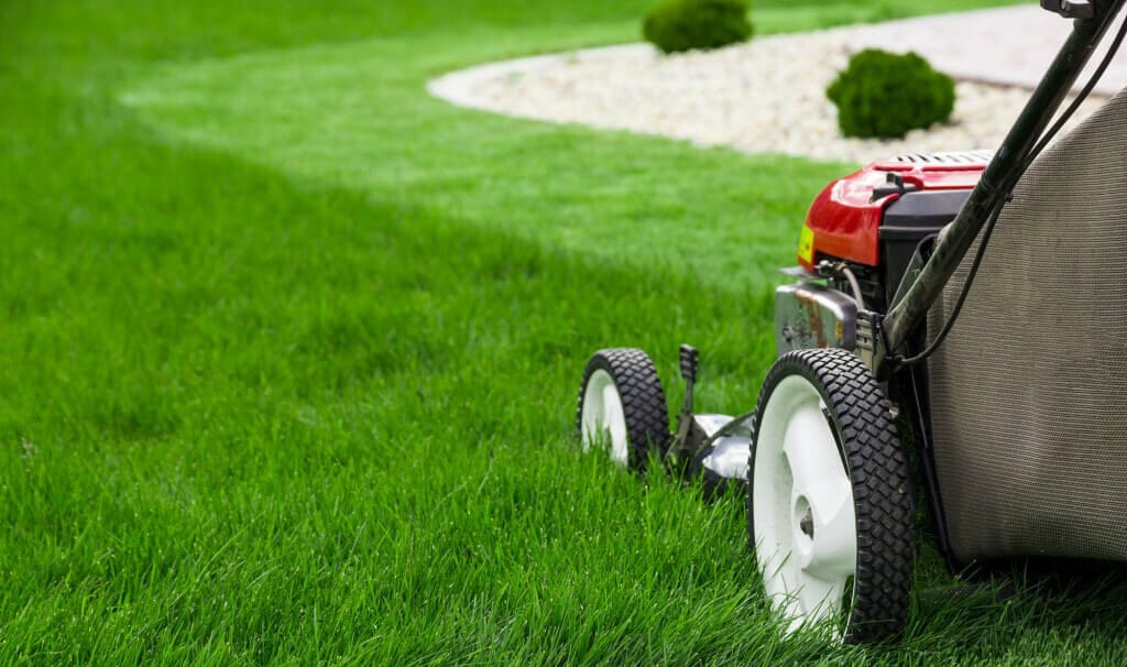 how do i mow my lawn properly? Lawn mower cutting tall grass, showing difference between uncut and freshly mowed turf
